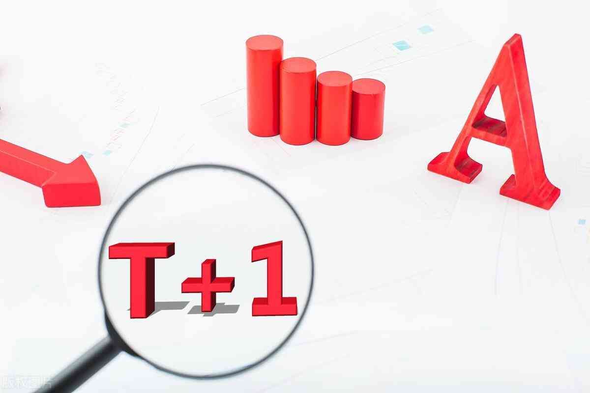 股票T+1制度的影响研究（股市T+1制度真的可以保护中小投资者吗）(图1)