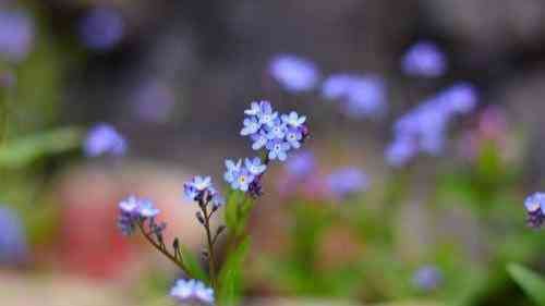 保险理赔常见误区（“保险太坑了，这不赔，那不赔！”保险理赔都有哪些坑）(图3)