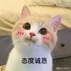 理赔资料遗失怎么办（保险公司把我的理赔资料弄丢了，怎么办）(图5)