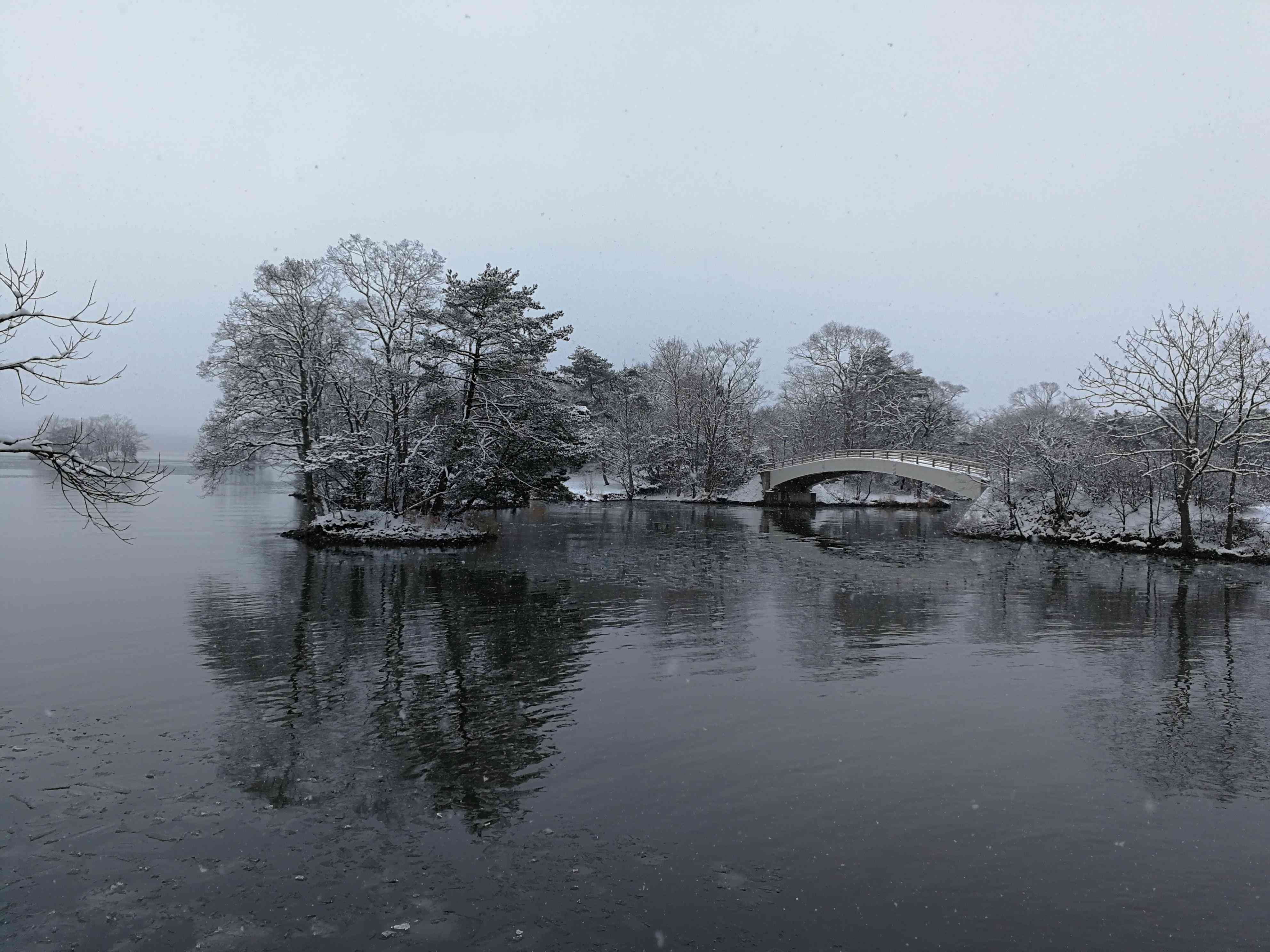 信用卡逾期影响个人信贷吗（银行人一般不会告诉你哪些个人信用行为会影响你的贷款申请审批）(图4)