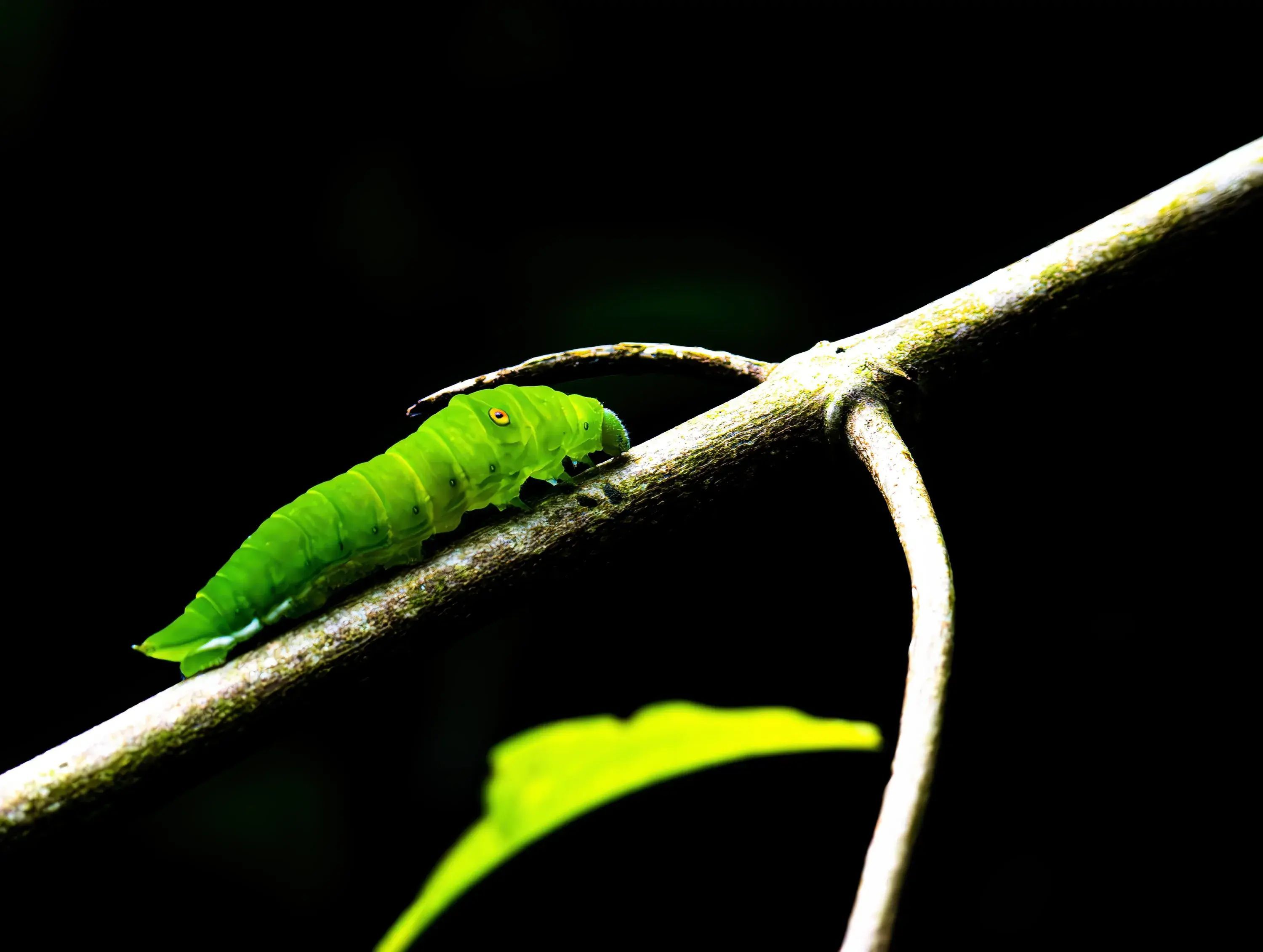 银行理财补仓技巧（理财路上超实用的几个补仓锦囊）(图7)