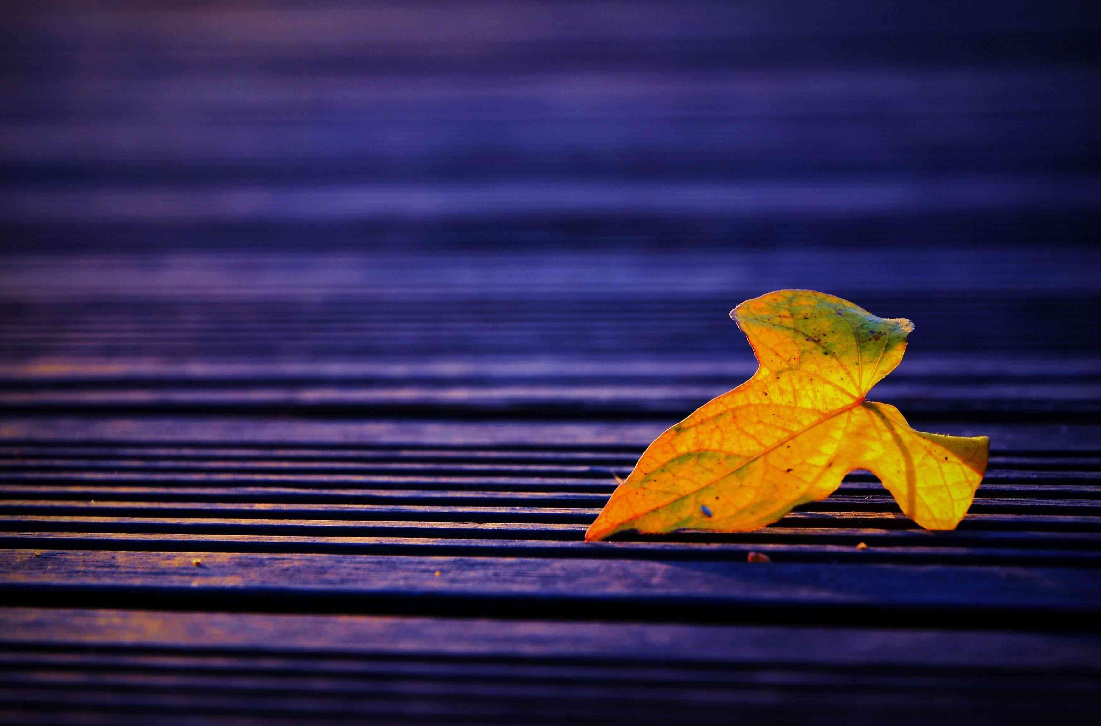 基金平仓线是多少（指数基金有强平线吗）(图1)