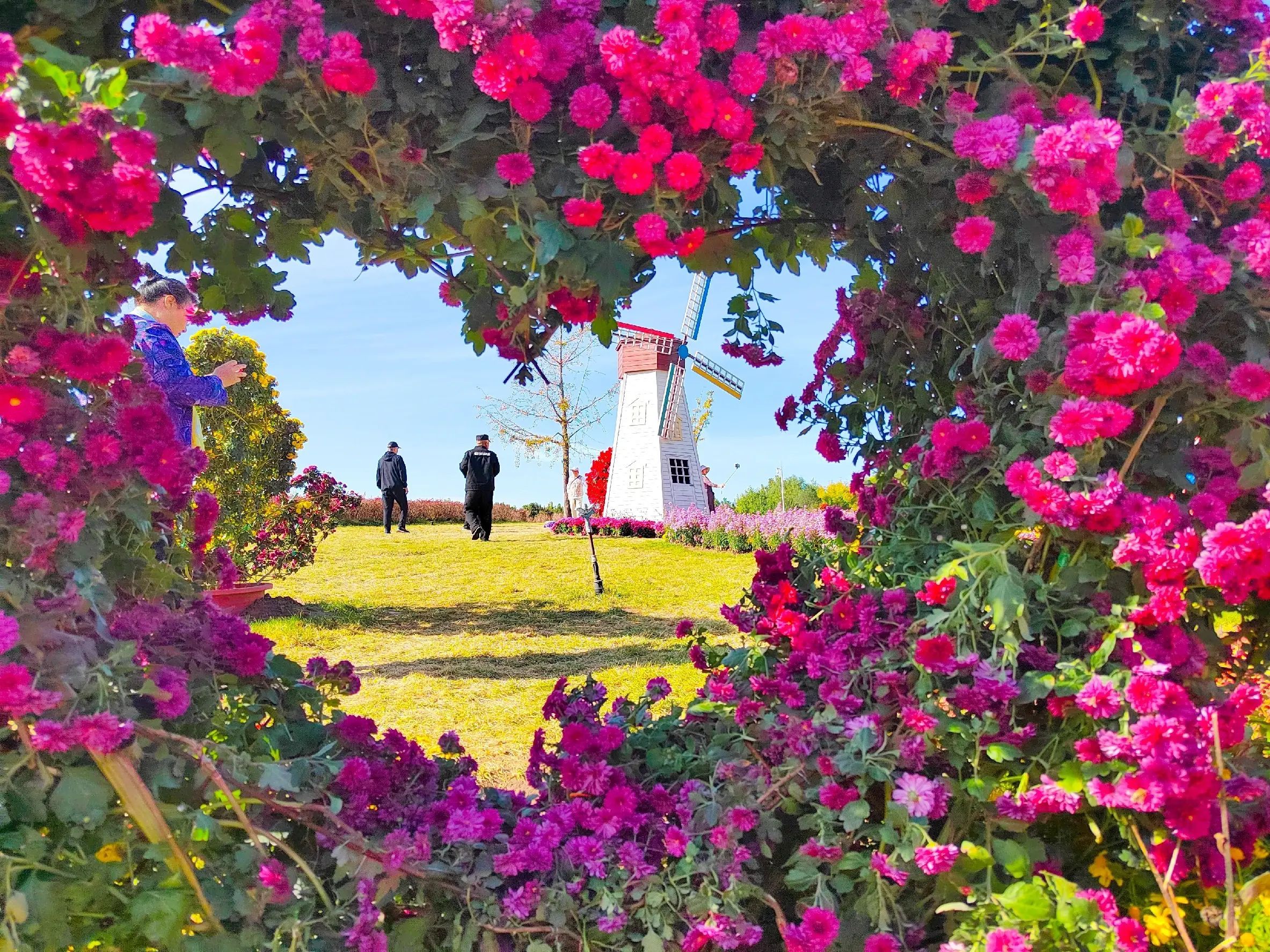 银行卡不见了怎么挂失银行卡（今天太郁闷了，银行卡丢了，怎么办）(图4)
