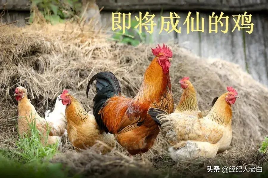 车险商业险是什么意思（80%的人买车险也不了解，商业保险保的是什么）(图3)