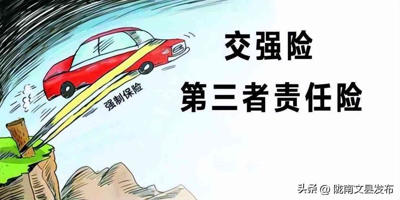 买车保险要买哪几种（一般车的保险买哪几种，交强险必购，第三者责任险购买多少合适）(图4)