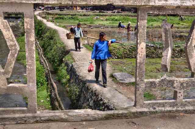 养老金一个月交1000退休能领多少（我大姨灵活就业30年，刚办完退休，看到养老金的一瞬间惊了）(图2)