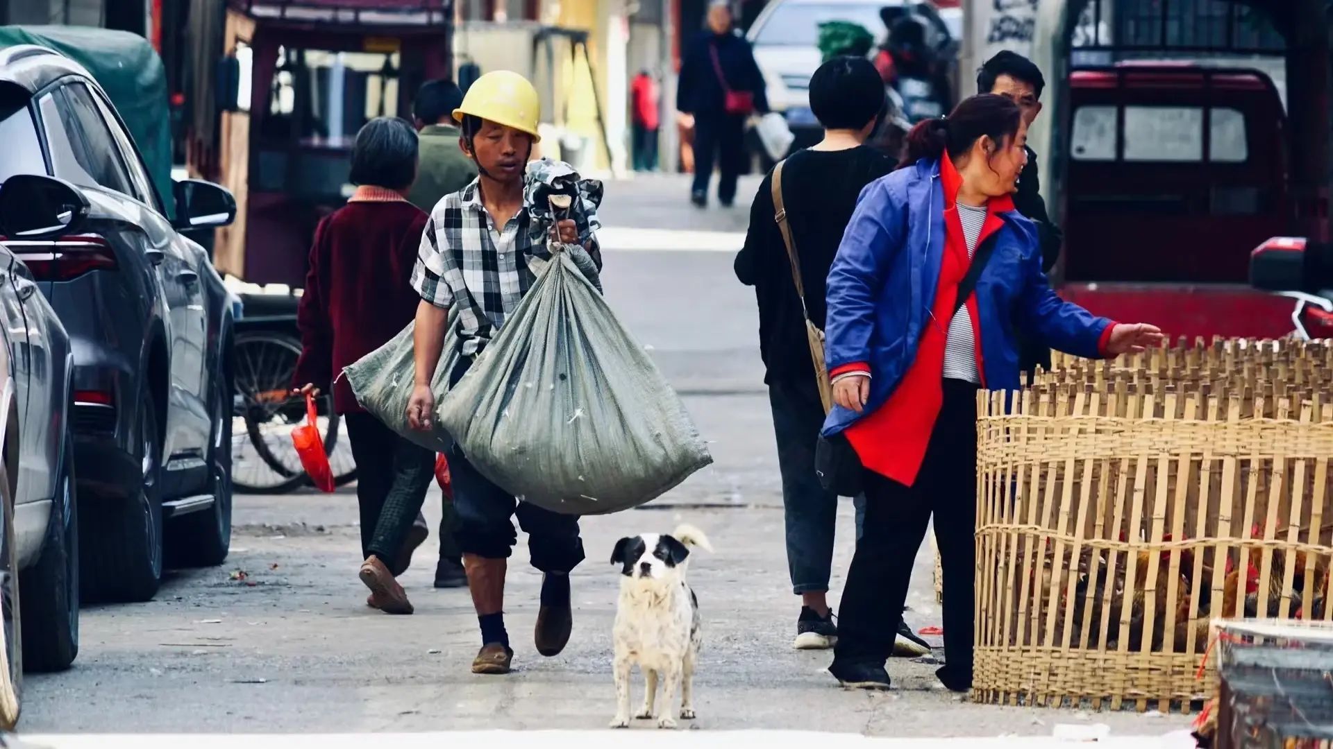 养老金一个月交1000退休能领多少（我大姨灵活就业30年，刚办完退休，看到养老金的一瞬间惊了）(图10)