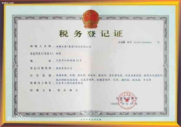 税号是什么（秒懂～企业的身份证们）(图4)