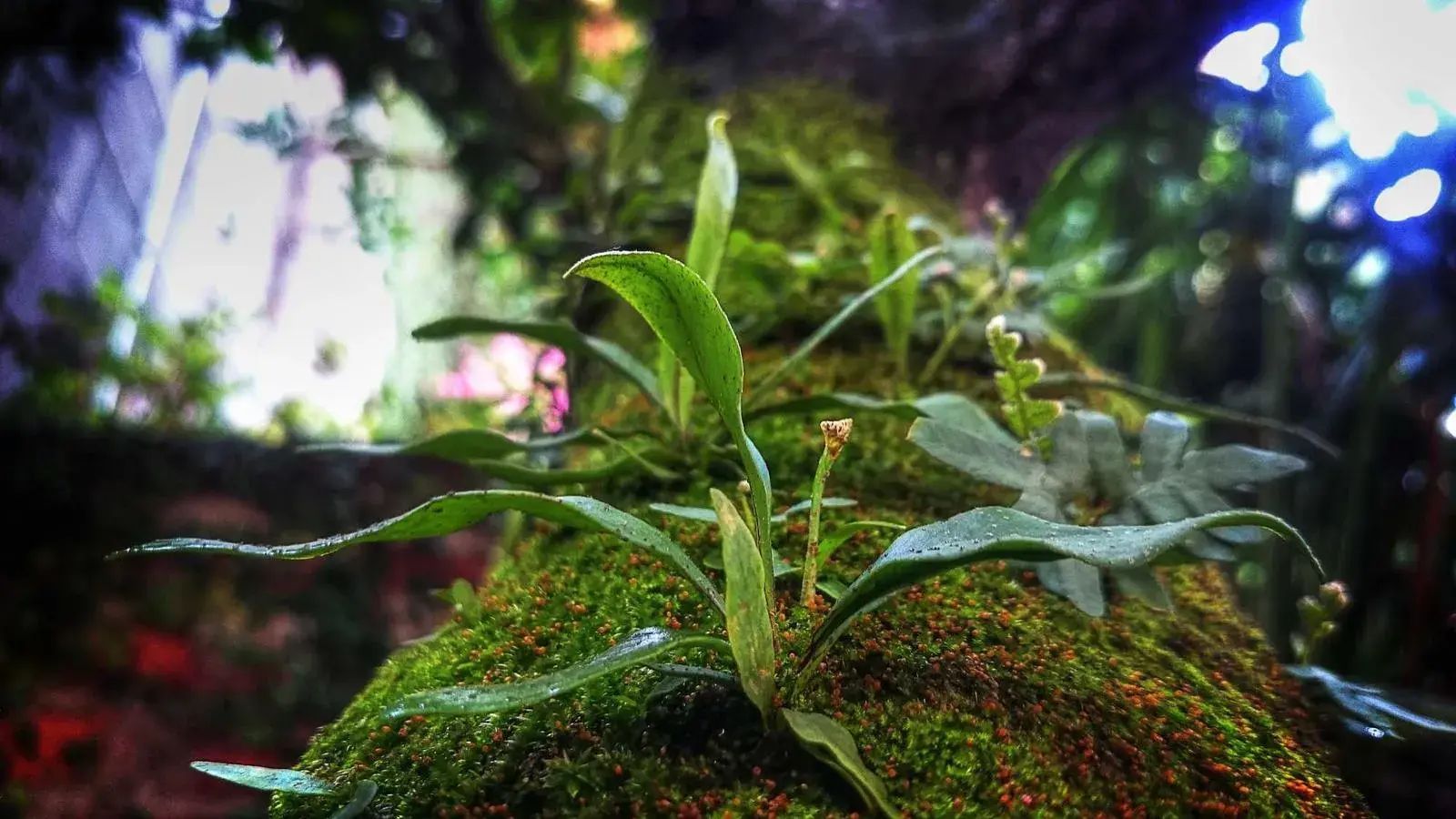 现在做什么最赚钱（现在最挣钱的行业，拿钱拿到手软，快来看看）(图8)