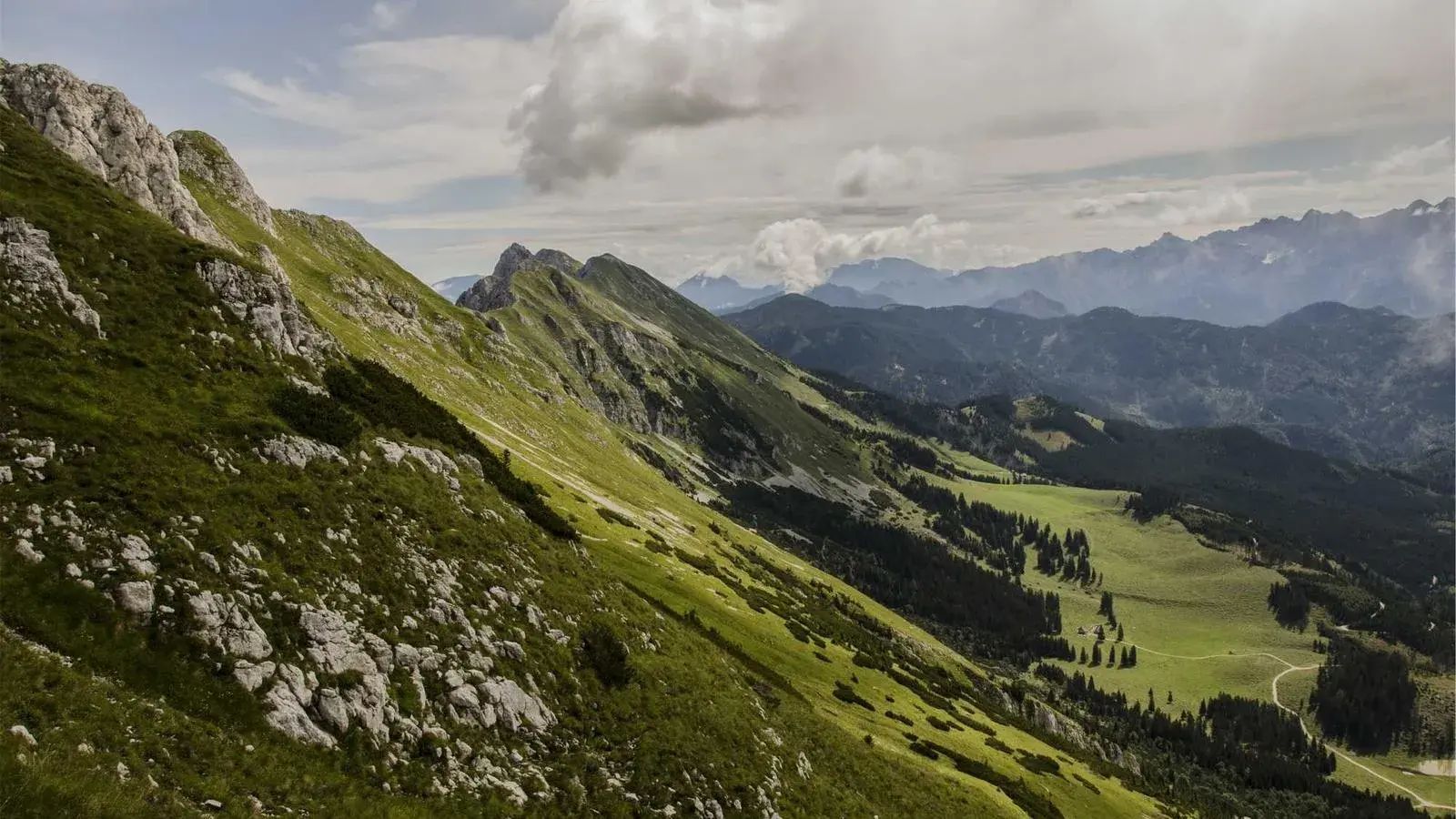 现在做什么最赚钱（现在最挣钱的行业，拿钱拿到手软，快来看看）(图12)