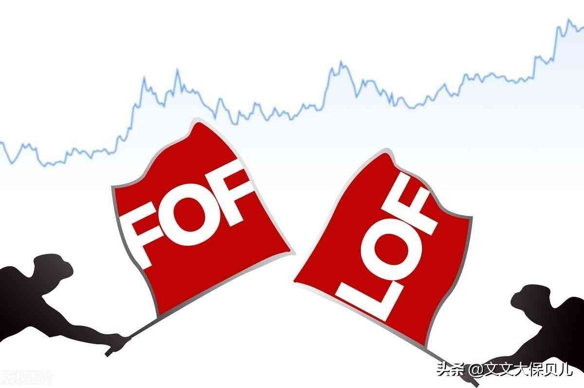 基金lof是什么意思（lof是什么？）(图4)