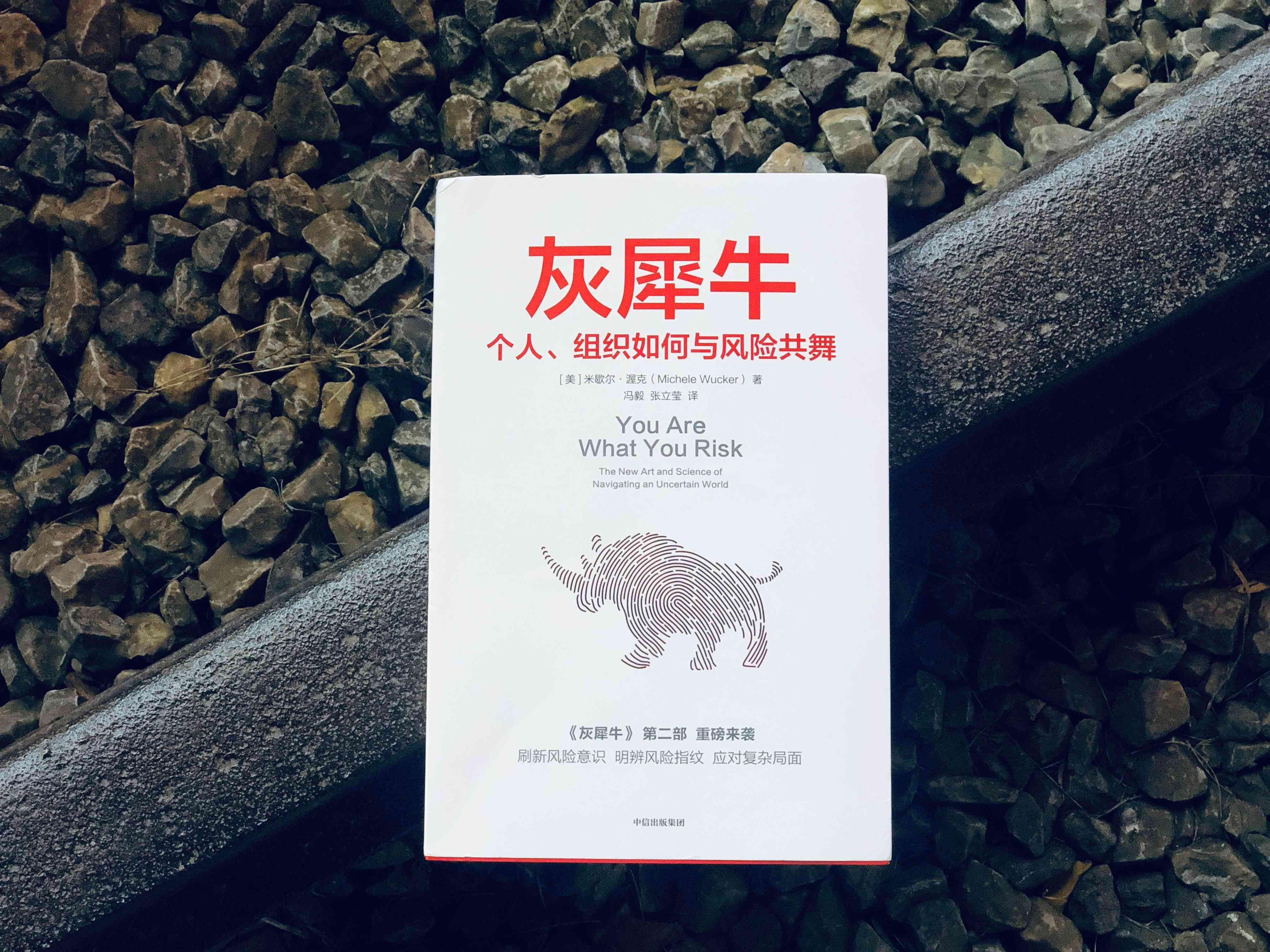 灰犀牛事件是什么意思（生活中的“灰犀牛”：你正遭遇的一切，都意味着“你是谁”？）(图3)