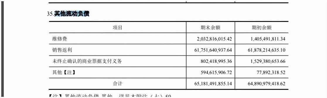 其资产负债表其他应付款包括哪些（资产负债表—其他负债项目）(图14)