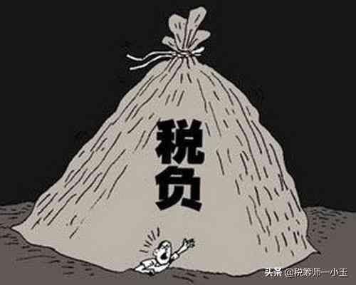 税负是什么意思（什么是税率、税负、税负率？这三者彼此联系，却又不同）(图2)