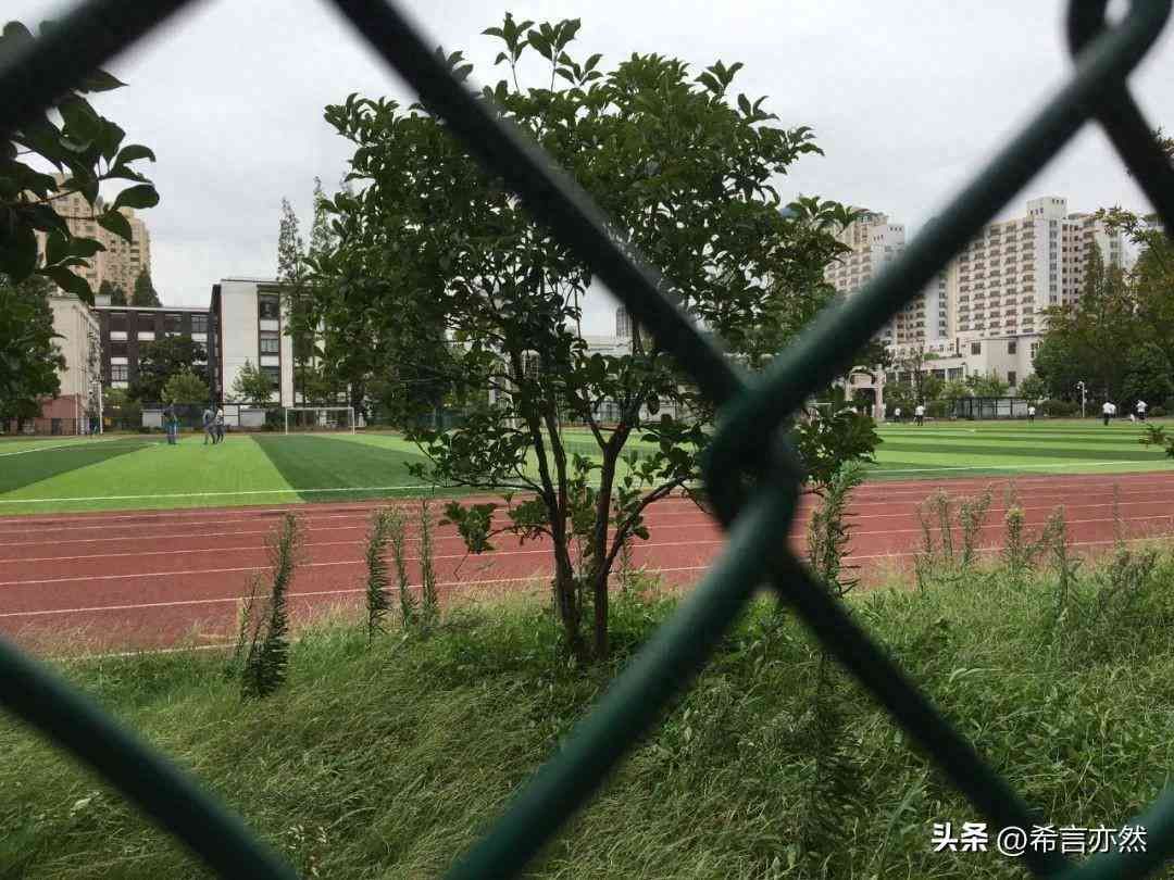 什么是量化交易？不会写程序就无缘量化交易了吗？(图1)