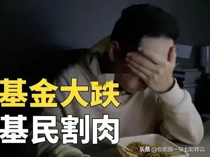 新发行的基金可以买吗，新发的基金没人买！基金经理吃的满嘴流油，基民亏得裤衩子都不剩(图10)