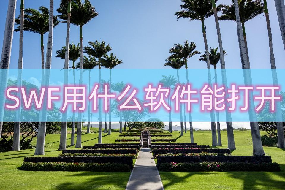 swf文件用什么播放器打开（swf用什么软件能打开？附加SWF转换方法）(图1)