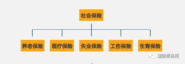 社保是从哪一年开始实施的(社保养老金的前世今生)(图1) 社保是从哪一年开始实施的(社保养老金的前世今生)(图1)