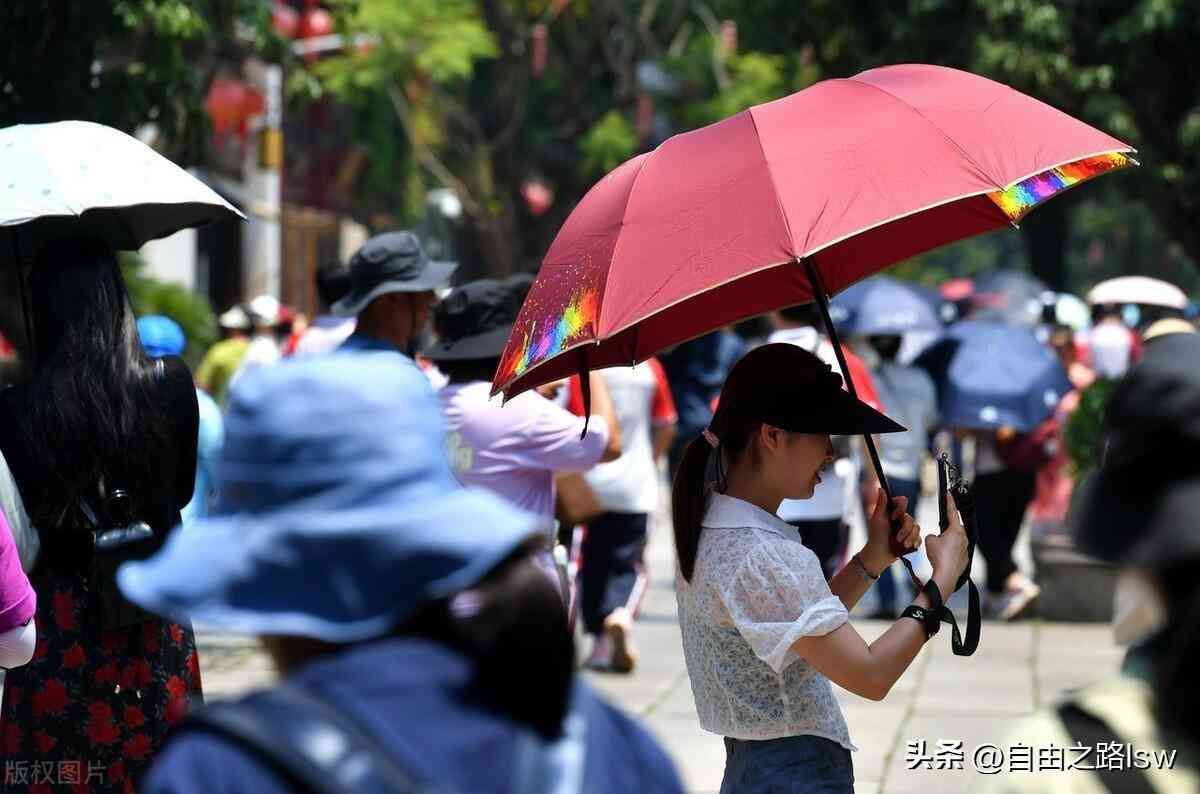 股票基金怎么玩才能赚钱快（关于股票和基金，怎么做才能提高盈利的概率）(图2)